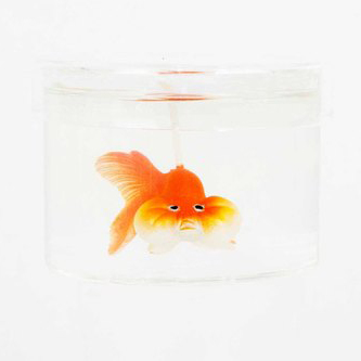 <div>Eye Candle 橘色水泡眼金魚罐裝香氛蠟燭<br />
OLD FISH JAR CANDLE ORANGE</div>