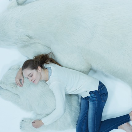 超擬真！在客廳躺與北極熊上一起睡午覺吧