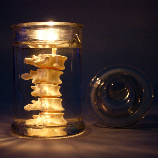 Eye Candle EYE LAB 白色脊椎罐裝香氛蠟燭 BACKBONE IN JAR CANDLE