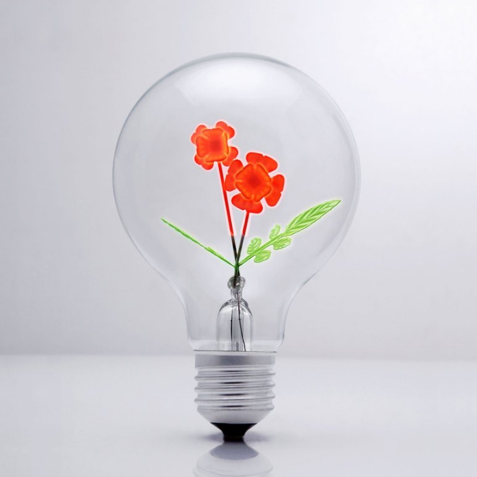 DarkSteve「演活生命」
設計師燈泡 - 玫瑰情人球泡燈 Edison-Style 愛迪生燈泡: 1 個 (純燈泡)