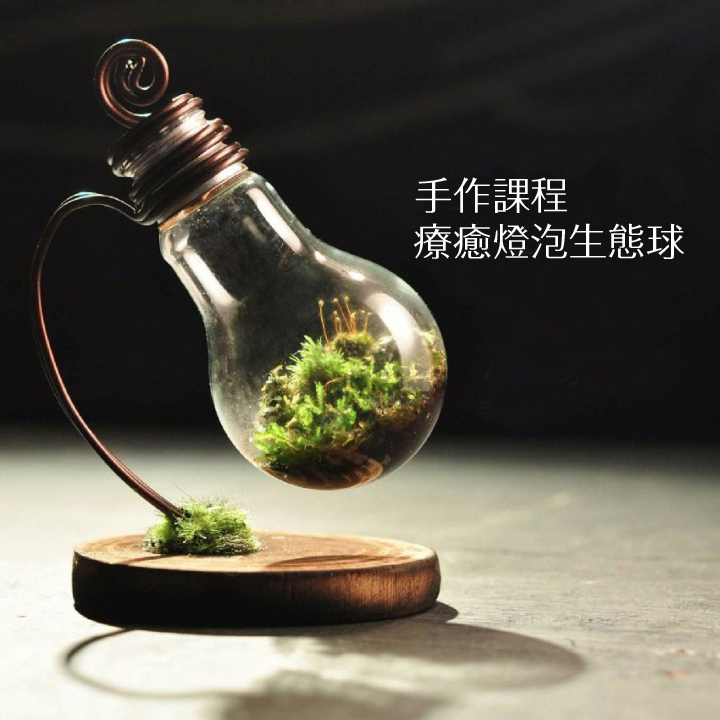 8/27（六）下午2：00~4:00 

Green idea plant 療癒燈泡生態球